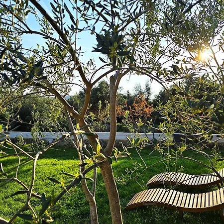 Villa Mateo Seget Vranjica
